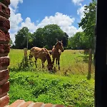 Le Clos Des Bruyeres Holiday home *